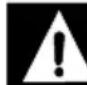 Simpson CM61456 - RISK OF EXPLOSION OR FIRE - 2
