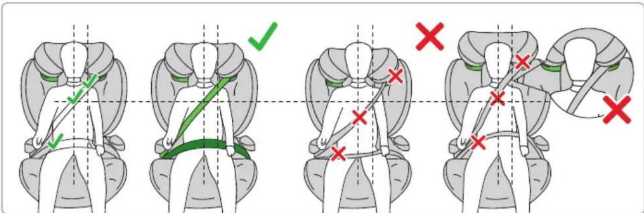 Avionaut MaxSpace Comfort System + - Comfort System + - 12