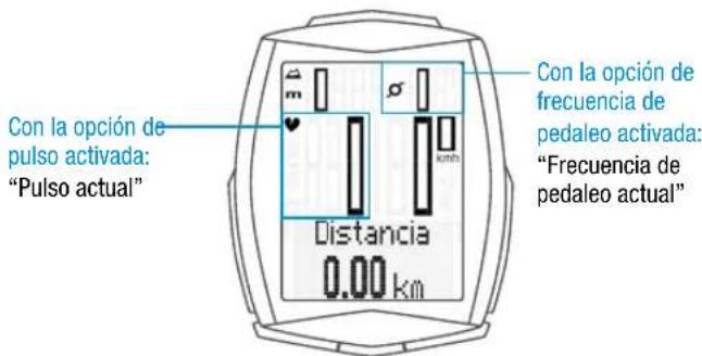VDO M6.1 - Display - 2