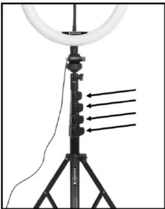 AGFAPHOTO Realiview ARL11XL - Fissare la luce ad anello da 11" al treppiede - 1
