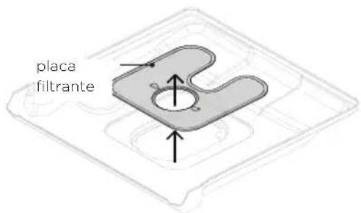 placa filtrante