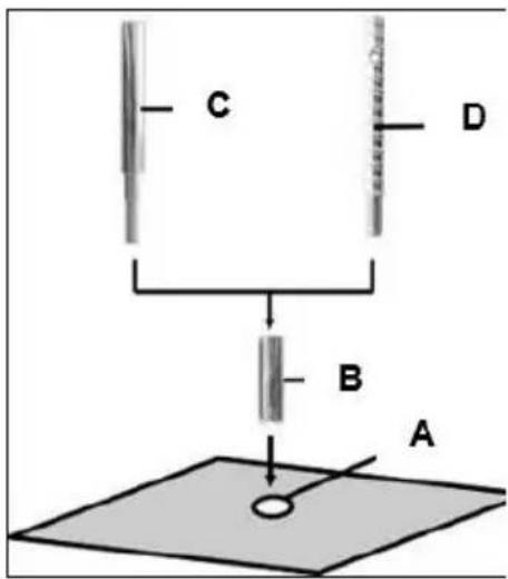 Eibenstock BST 352 V - Fissaggio con tasselli nel calcestruzzo - 1