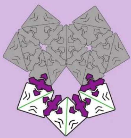 Thames & Kosmos Creatto Barnyard Buddies Brilliant Bunny - 9