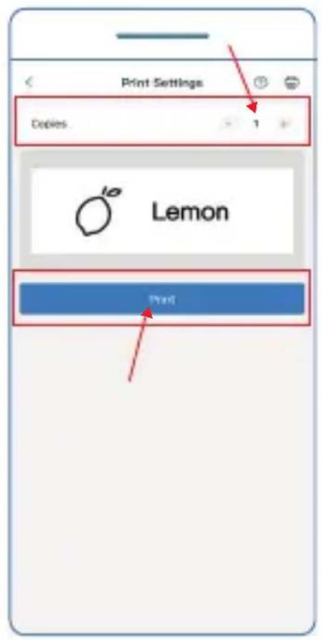 OLYMPIA PM220 - Select the desired template. - 4
