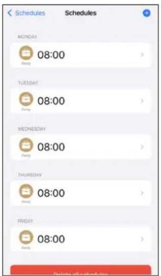 SWANN SONVK876806B2D - Création d'une planification supplémentaire - 3