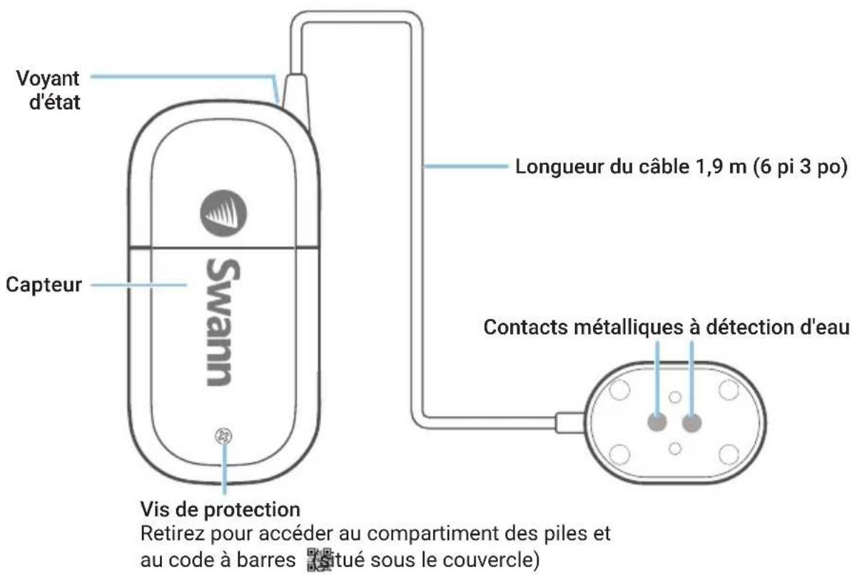 SWANN SWIFILEAK - APERÇU - 1