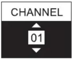 CHANNEL 01
