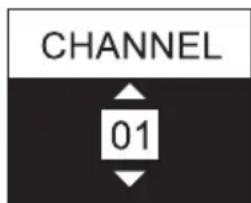 LD Systems U506 IEM T - USTAWIANIE KANAŁU CZESTOTLIWOŚCI (CHANNEL) - 2