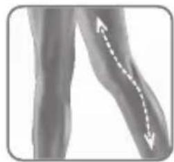 ROWENTA Derma Perfect EP9840 - Lichaamsdelen - 2