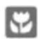 FAR CV505524W - IX-MISEAUREBUT - 2