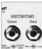 HUGHES & KETTNER TubeMeister 36 - FOOTSWITCHES - 1