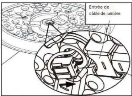 Orbegozo CP 143142 - INSTALLATION DU VENTILATEUR - 10