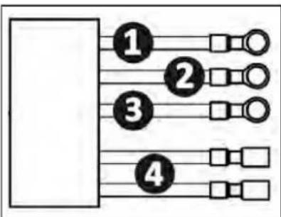 ZODIAC eXPERT pH - Connecting the cell to the control box - 1