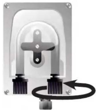 ZODIAC eXPERT pH - Installatie van de pH minus-injectieleding - 1