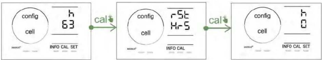 ZODIAC eXPERT pH - Visualizzazione e reinizializzazione del numero di ore della cella o della pompa pH - 1