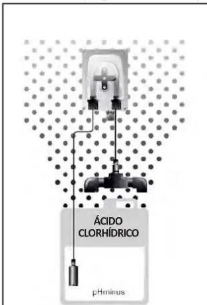 ZODIAC eXPERT pH - I Mantenimiento de la bomba peristaltica - 1