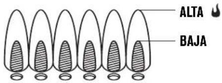 CHAR BROIL Performance 463711223 - Control de la llama del quemador - 1