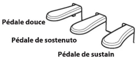 KAWAI Classic Serie CS4 - Utilisation des pédales - 1