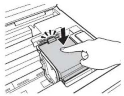 EPSON Stylus NX530 - Remplacement de cartouches d'encre - 7