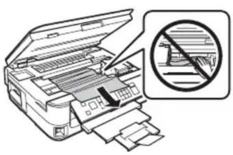 EPSON Stylus NX530 - Problèmes d'alimentation du papier - 2