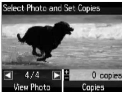 EPSON Stylus NX530 - Printing Photos From the LCD Screen - 1