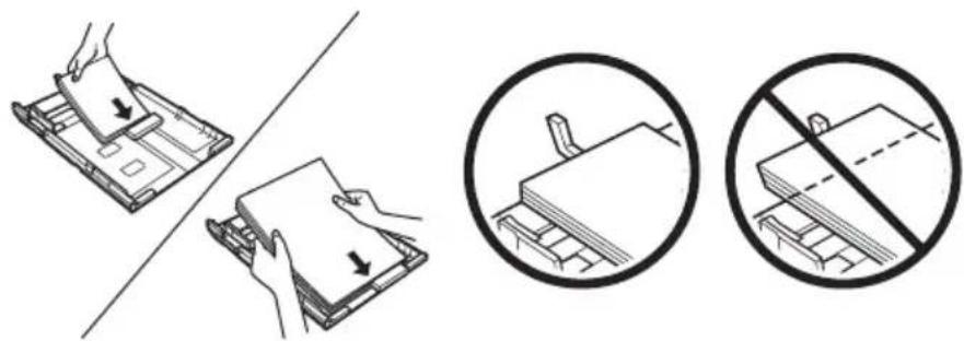 EPSON Stylus NX530 - Using Special Papers - 1