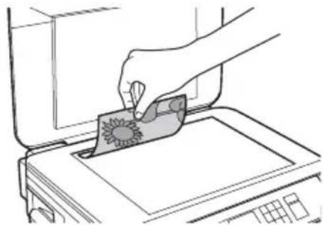 EPSON Stylus NX530 - Copying a Document or Photo - 1