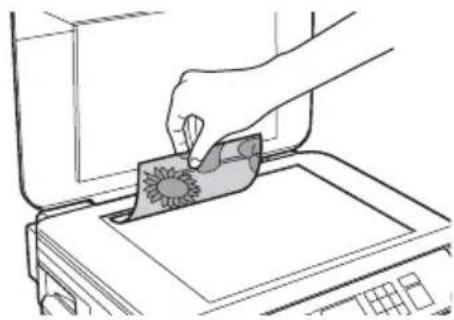 EPSON Stylus NX530 - Copie d'un document ou d'une photo - 1