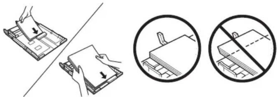 EPSON Stylus NX530 - Utilisation de papiers spéciaux - 1