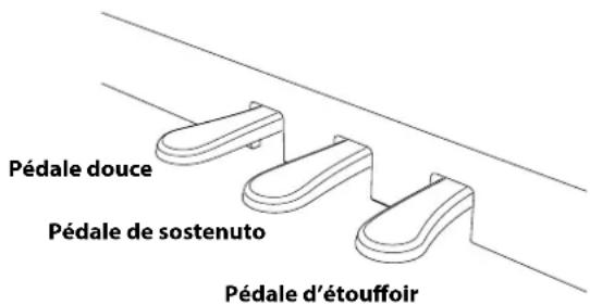 KAWAI Novus NV10S - ■ Pédale d'étouffoir (pédale de droite) - 1