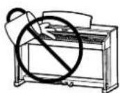 KAWAI Novus NV10S - AVERTISSEMENT - 4