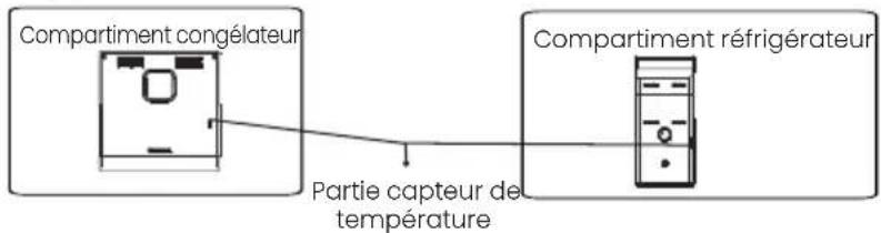 Compartment congélateur Partie capteur de température Compartment réfrigérateur