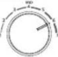 HISENSE HTN461WDE - OHJAUSPANEELI - 10