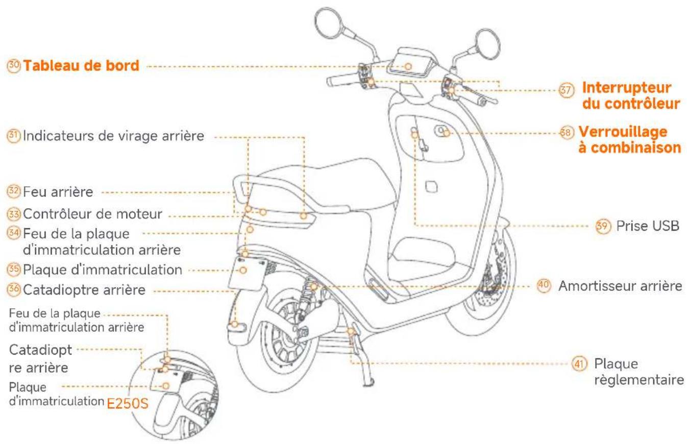 SEGWAY eScooter E150S - Package et fonctions - 9