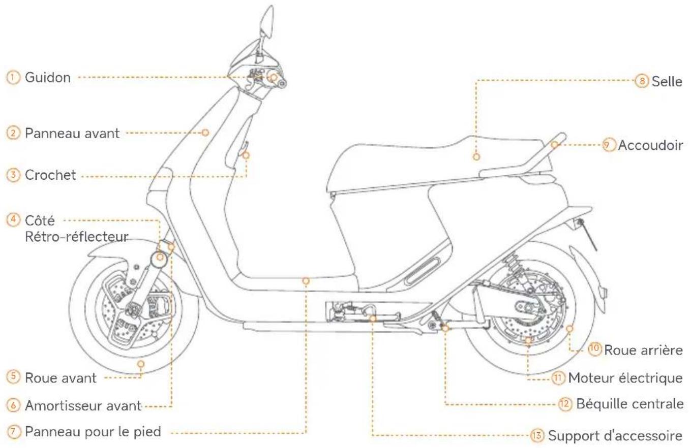 SEGWAY eScooter E150S - Package et fonctions - 6