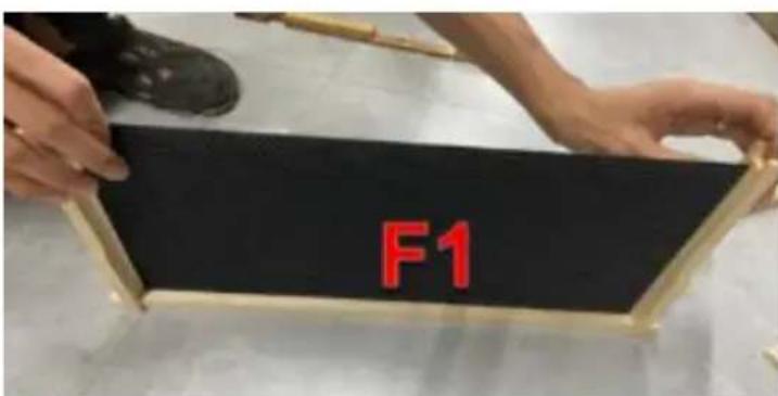 F1