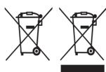 RUSSELL HOBBS Steam Genie 2in1 2760056 - PEÇUKJIIPAHE - 1
