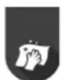 GORENJE SVC216290FFW - POLNJENJE - 1