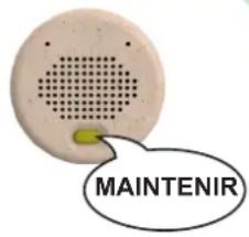 ALECTO HEEHEE - Remarque : - 2