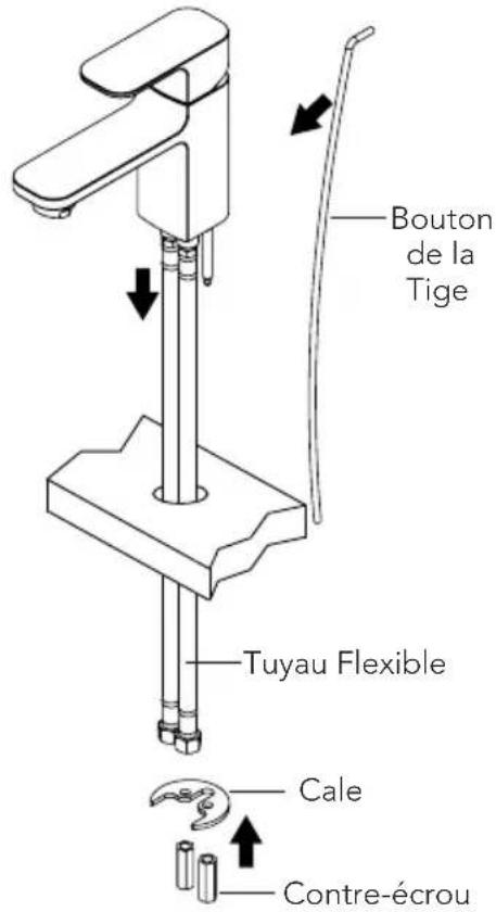TOTO Upton TL630SDH12 - Important: - 1