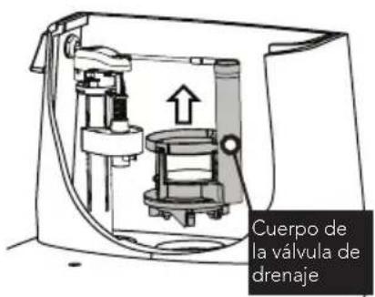 TOTO Promenade II MS814224CUF - Sustitución de la valvula de drenaje - 3