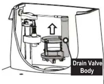 TOTO Promenade II MS814224CUF - Replacing the Drain Valve - 3