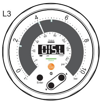 IFM PG1406 - Display layout - 3