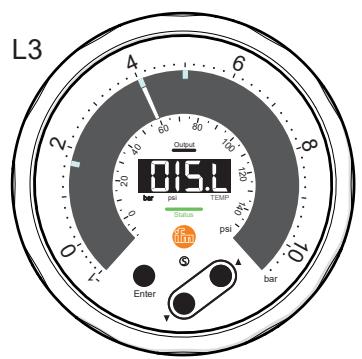 IFM PG1406 - Układ wyświetlacza - 3