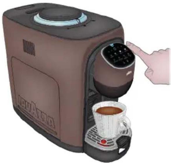 Lavazza Assoluta - WALGFRIMANGDE - 2