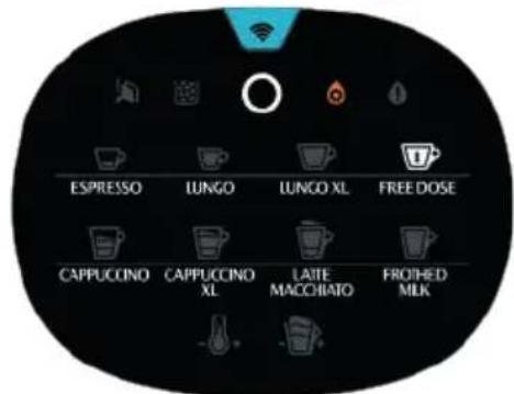 Lavazza Assoluta - MANUTENZIONE E PULIZIA - 6