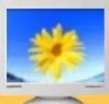 SAMSUNG SyncMaster 767MB - Page Principale - 15