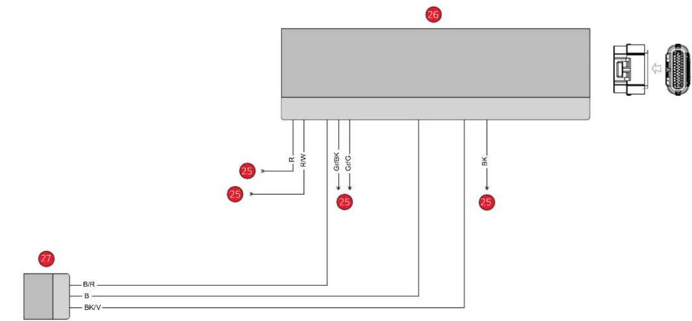 DUCATI Desmo450 MX Factory (2026) - Circuitélectrique - 2