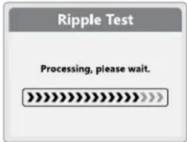 Ripple Test Processing, please wait.