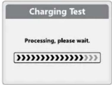 Charging Test Processing, please wait.